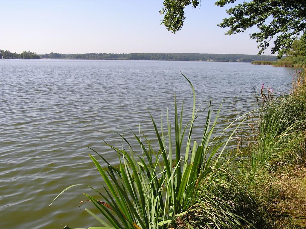 Apartment Trzeboń Pokój zdjęcie